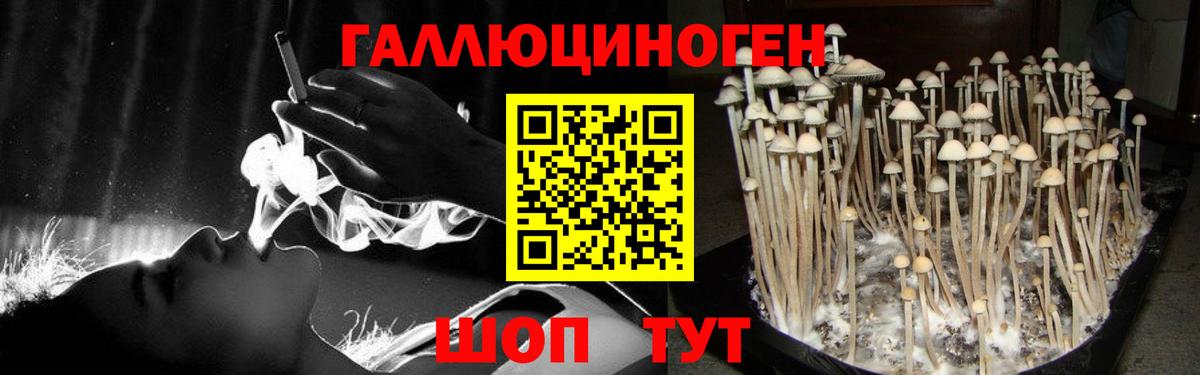 Сергиев Посад  хочу   Галлюциногенные грибы прущие грибы  Вход с VPN  Галлюциногенные грибы Cubensis 